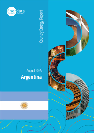 Argentina energy report