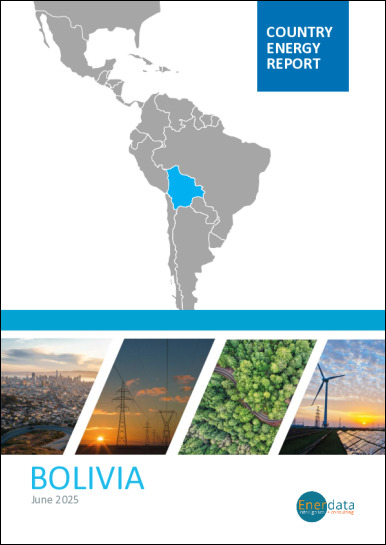 Bolivia energy report Bolivia energy report