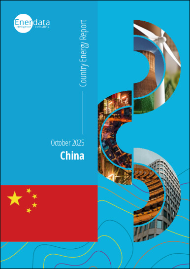 China energy report