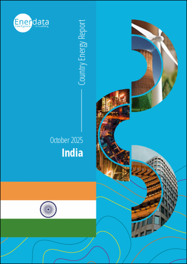 India energy report