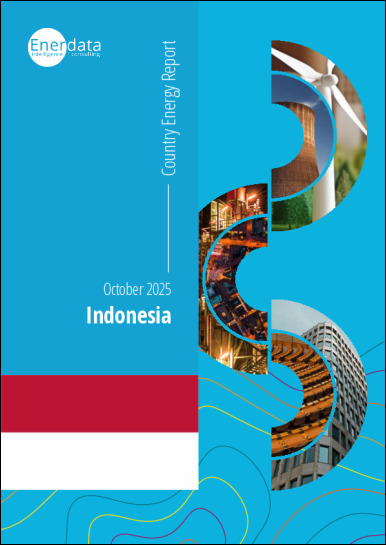 Indonesia energy report