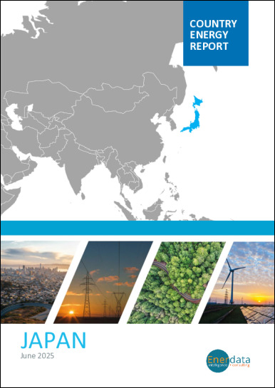 Japan energy report