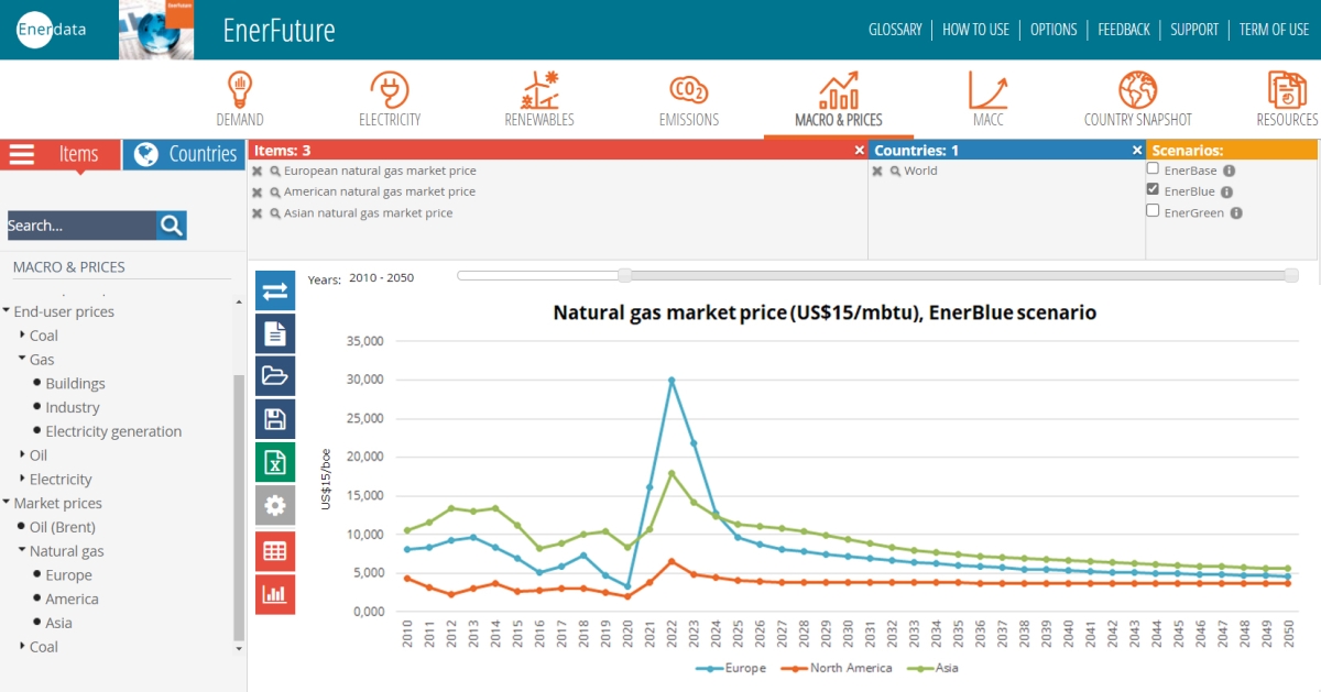 Natural gas market price, EnerBlue scenario