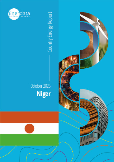 Niger energy report