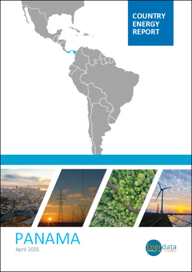 Panama energy report