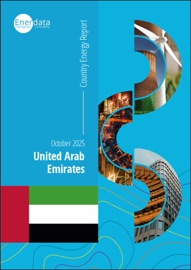 United Arab Emirates energy report